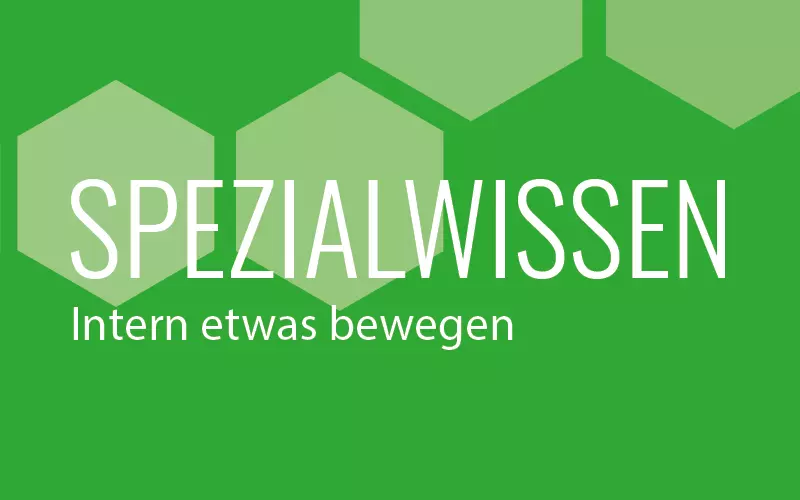 Spezialwissen intern etwas bewegen